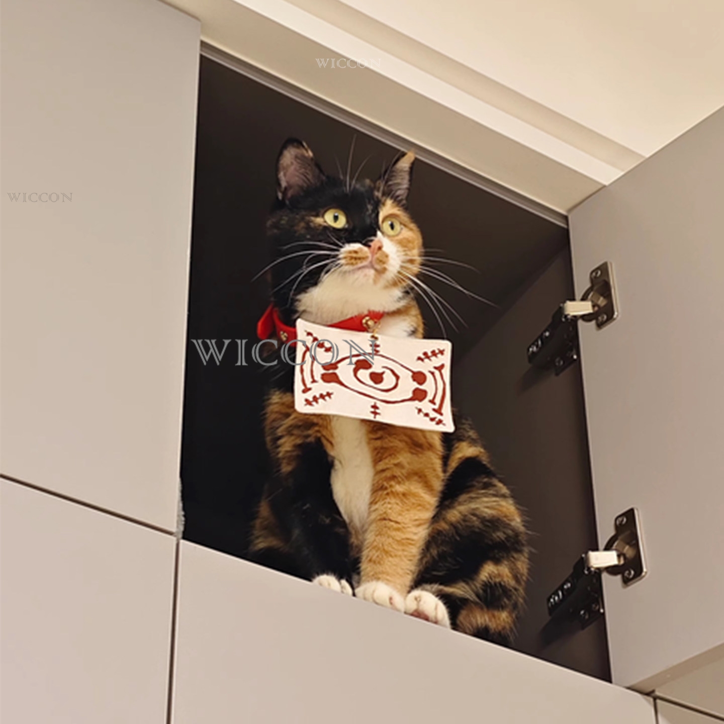 Chachamaru Cat Tamayos Pets Co - Cosplay Anime Jjk recension och pris